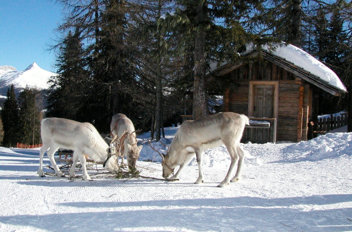 Alta Pusteria: il paradiso d’inverno dei bambini!