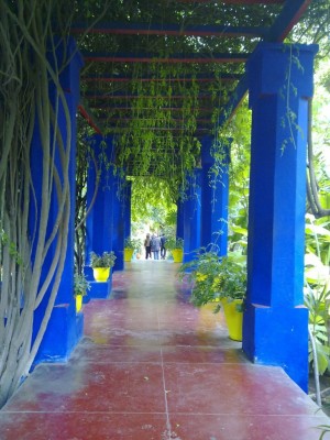 Primavera a Marrakech