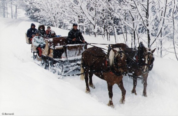 Vacanze invernali attive o riposanti? In Val di Sole a voi la scelta!