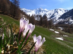 Primavera all'insegna del benessere in ALTA PUSTERIA