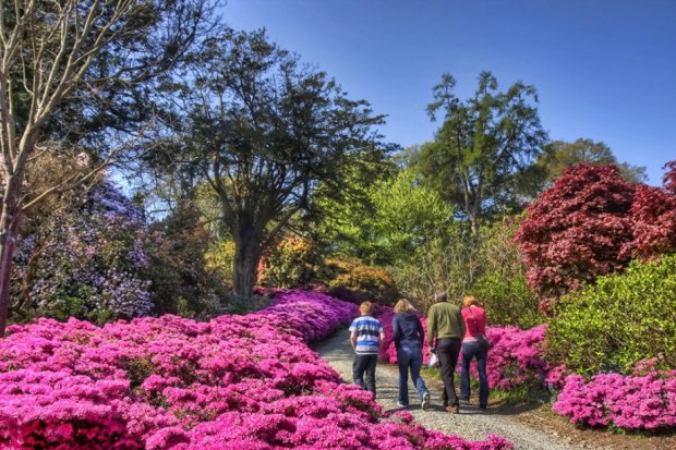 In Irlanda per ammirare giardini in fiore tutto l’anno