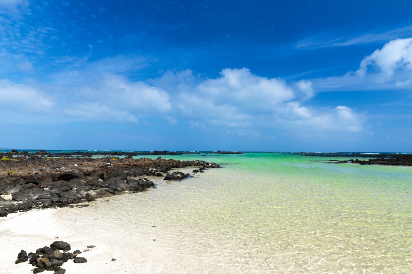 Le isole Canarie: cosa vedere ?