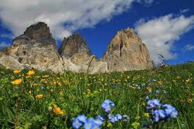 Ferragosto tra le Dolomiti