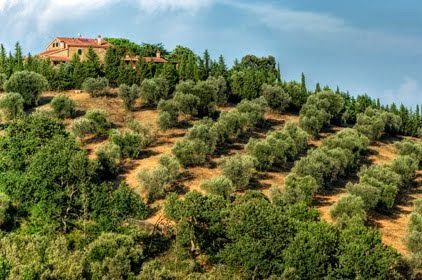 Il Montebelli Agriturismo e Country Hotel di Caldana (GR) propone un corso full immersion di tennis