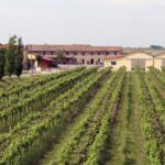 In ottobre Comacchio (Fe) celebra anguilla e vini di sabbia