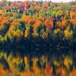 Canada Experience - Magie del Canada: Québec, Niagara e San Lorenzo