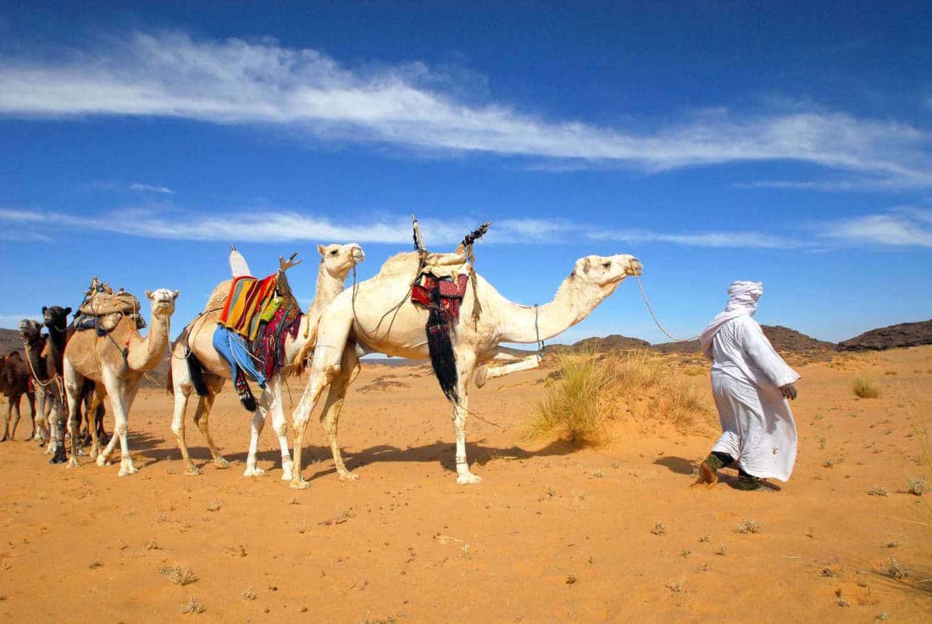 I deserti di Viaggi Levi
