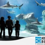 Visitare l’Acquario di Genova costa meno con Trenitalia