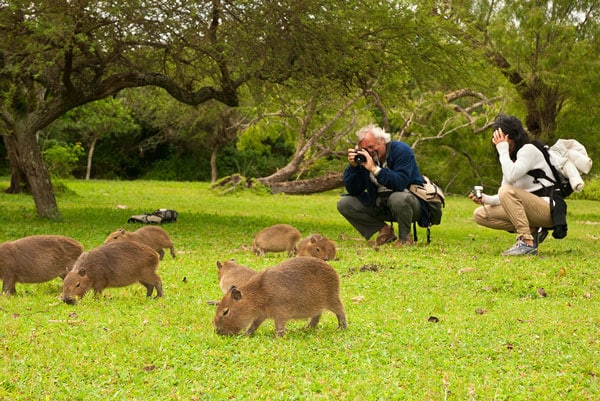 L’Argentina ristruttura il Parco naturalistico degli Esteros del Iberá