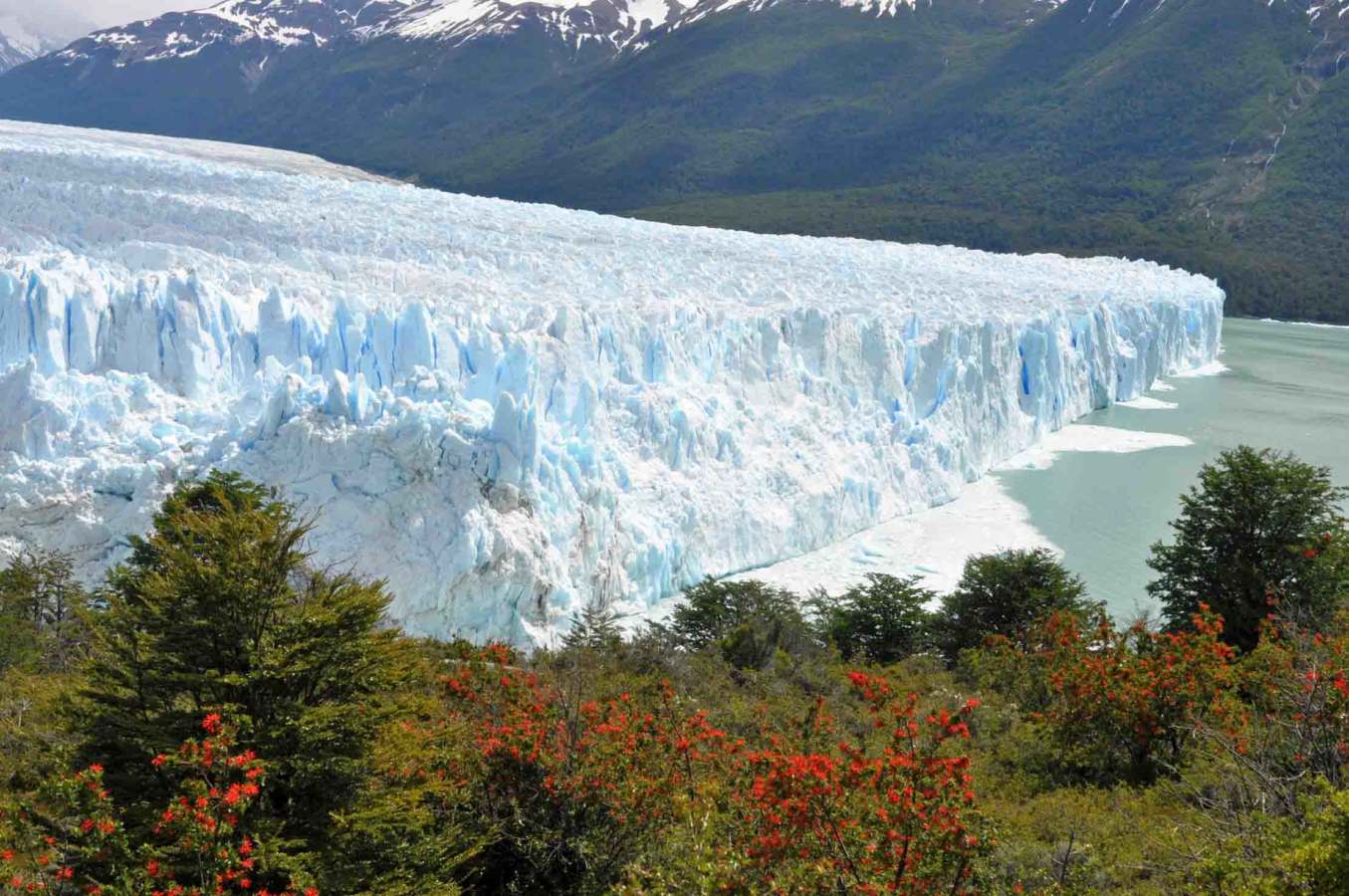 Argentina  del  Sud:dalla  Patagonia  alla  Terra  del  Fuoco