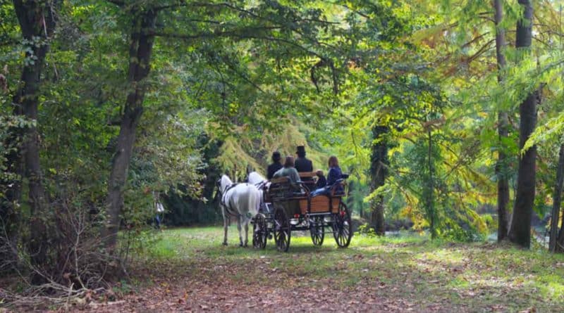 Tour in carrozza d'epoca - Giornata Nazionale ADSI 2018