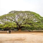 Kanchanaburi: esperienze locali e bellezze naturali