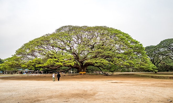 Kanchanaburi: esperienze locali e bellezze naturali