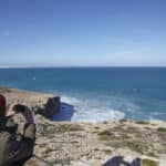 I posti migliori per osservare le balene in South Australia