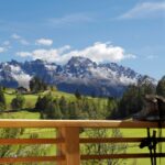 Vitalpina hotels