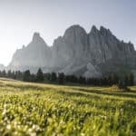 Estate 2020 in Alto Adige: è boom di vacanze in montagna e nella natura