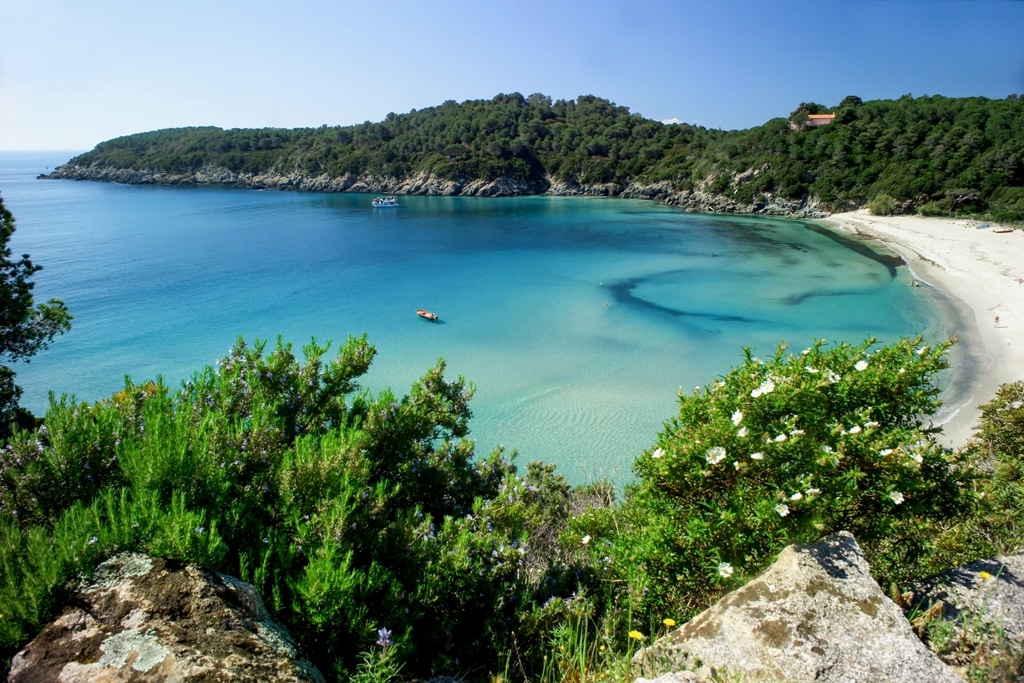 Le 10 spiagge dell'Elba che non vi faranno rimpiangere i Caraibi