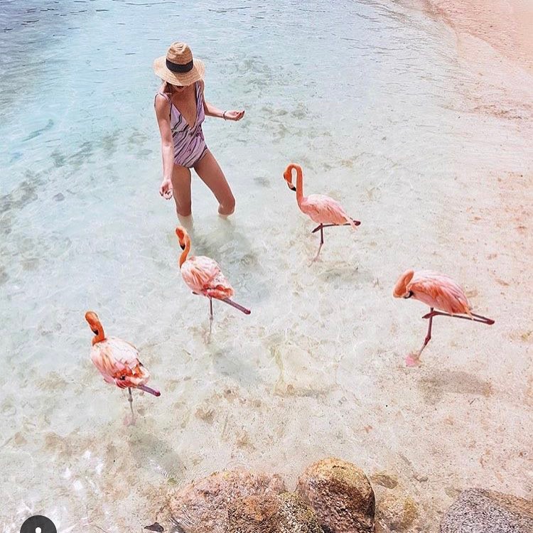 Instagram: i 10 posti più belli di Aruba