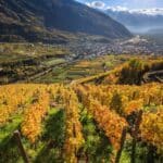 Un autunno pieno di sagre ed eventi in Valtellina