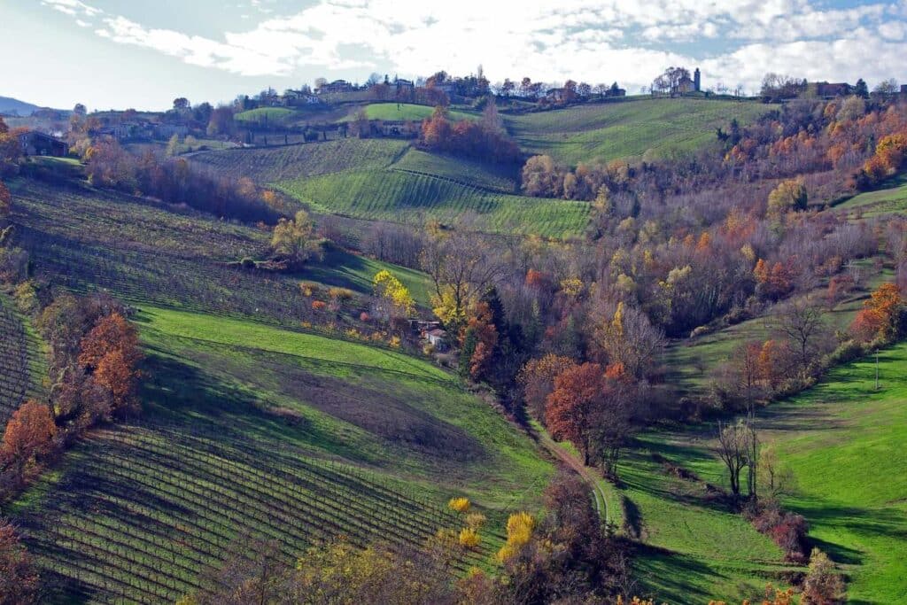 Vacanze a Parma: 7 cose da vedere assolutamente