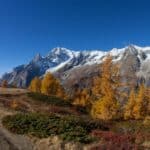 A piedi o in bici, il foliage più bello è a Courmayeur