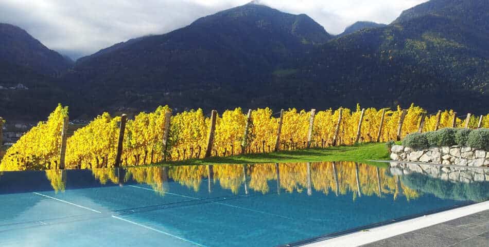 I Vinum Hotels Südtirol, offrono le più belle piscine tra le vigne 