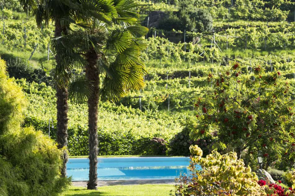 I Vinum Hotels Südtirol, offrono le più belle piscine tra le vigne 