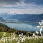 Lago di Ginevra