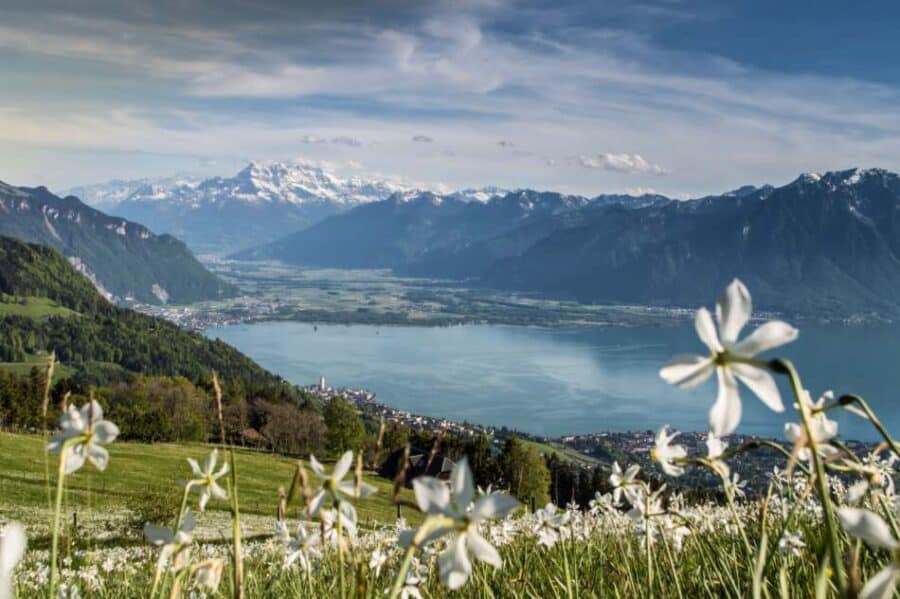 Lago di Ginevra