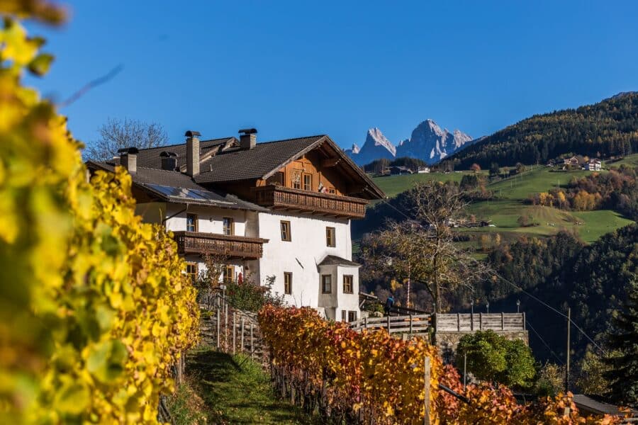 Alto Adige