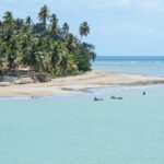Alagoas: spiagge e piscine naturali nel nord est del Brasile