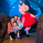 Gardaland Sea Life Aquarium