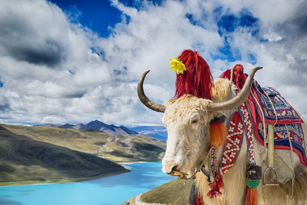 Un viaggio, tre influencer ed il magico Tibet