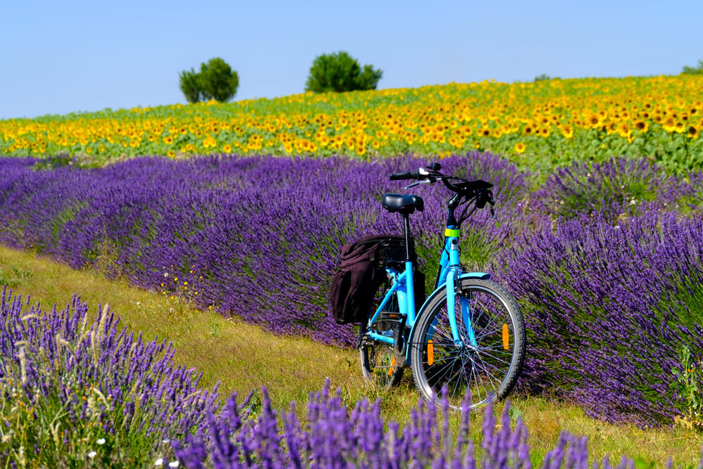 La Francia e il cicloturismo, una destinazione in forte crescita che si prefiggi di diventare capitale mondiale del cicloturismo