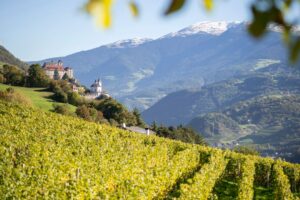 Scopri la Valle Isarco in primavera: borghi pittoreschi, natura rigenerante ed eventi unici tra vino, tradizioni e sapori autentici.