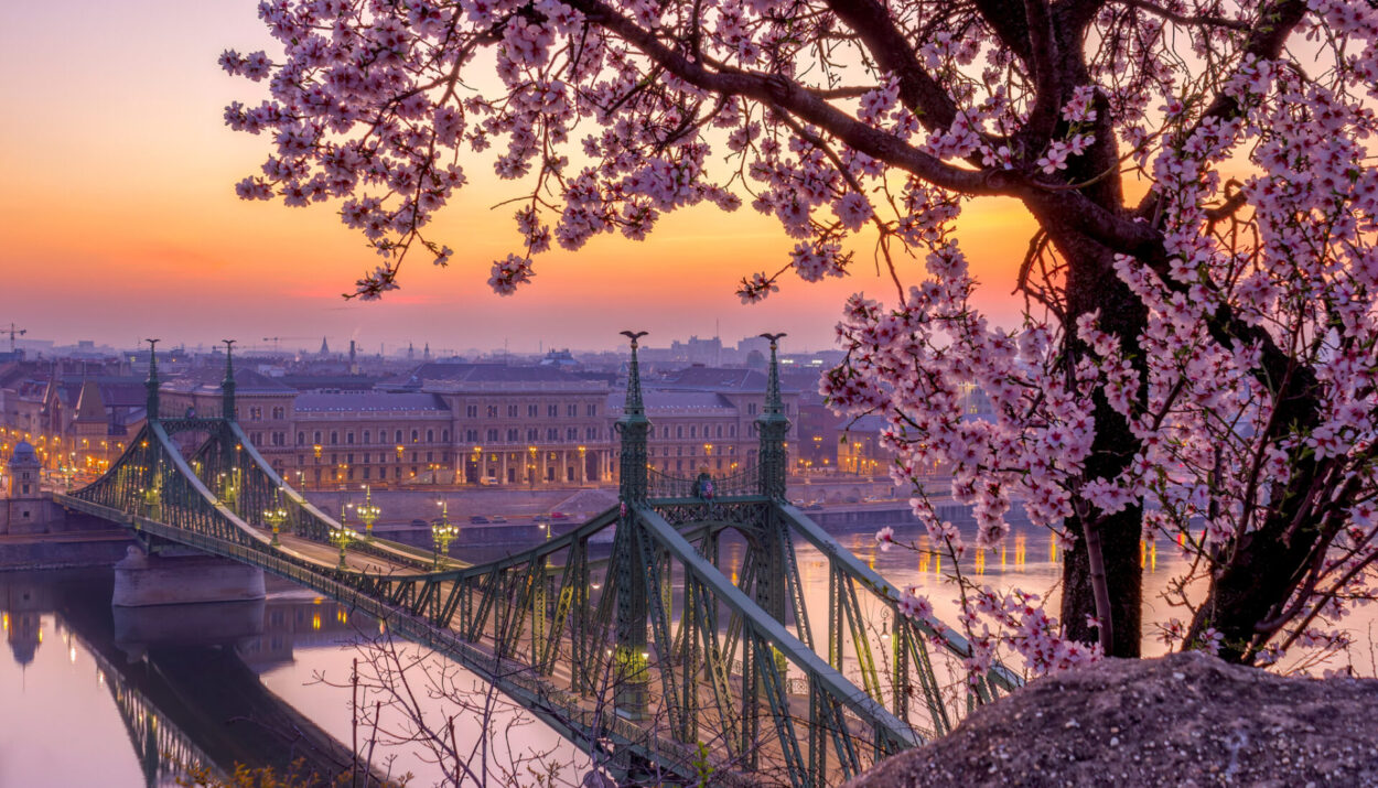 Scopri i migliori festival di primavera a Budapest tra musica, arte e cucina. Vivi la città al massimo nei mesi più belli dell’anno!