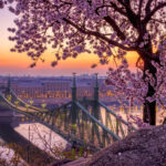Scopri i migliori festival di primavera a Budapest tra musica, arte e cucina. Vivi la città al massimo nei mesi più belli dell’anno!