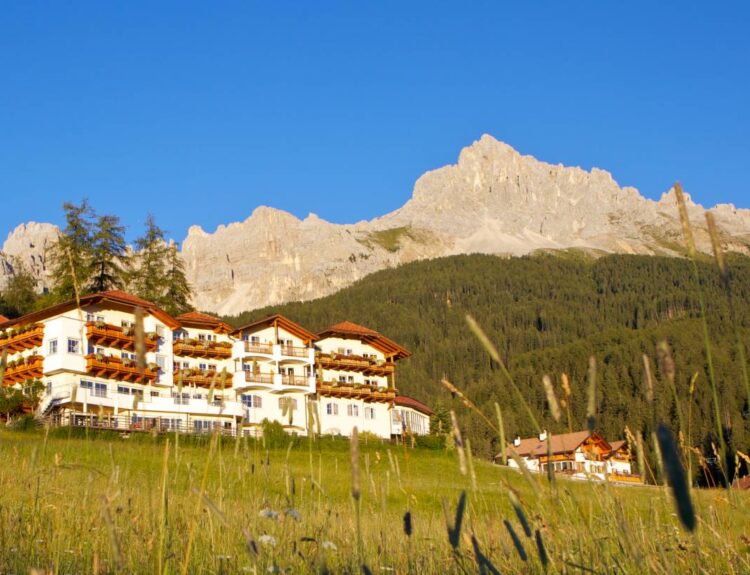 5 hotel alpini