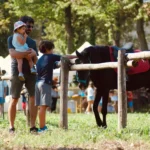 Weekend in fattorie didattiche, tra animali e natura