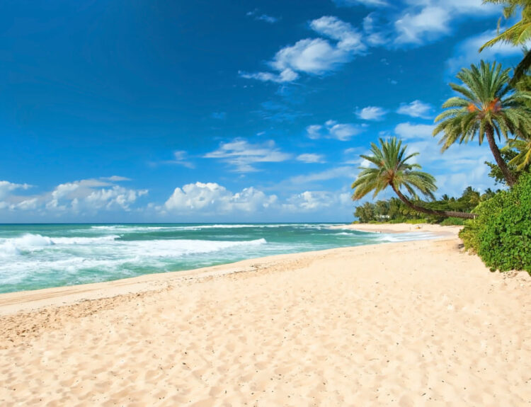 Le 8 spiagge più belle del mondo tra acque cristalline e sabbie da sogno. Parti ora per una vacanza indimenticabile nel paradiso!