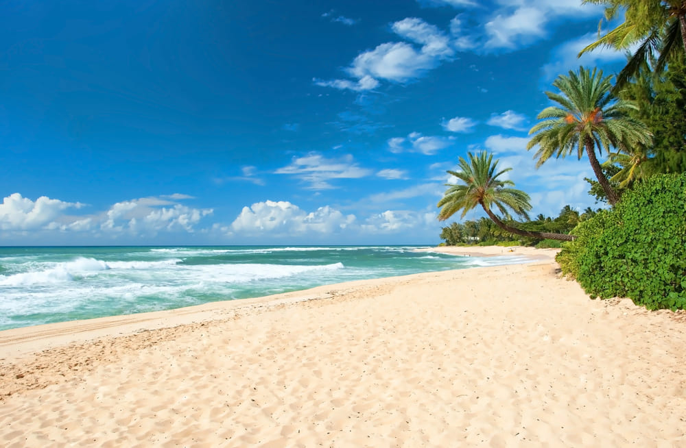 Le 8 spiagge più belle del mondo tra acque cristalline e sabbie da sogno. Parti ora per una vacanza indimenticabile nel paradiso!