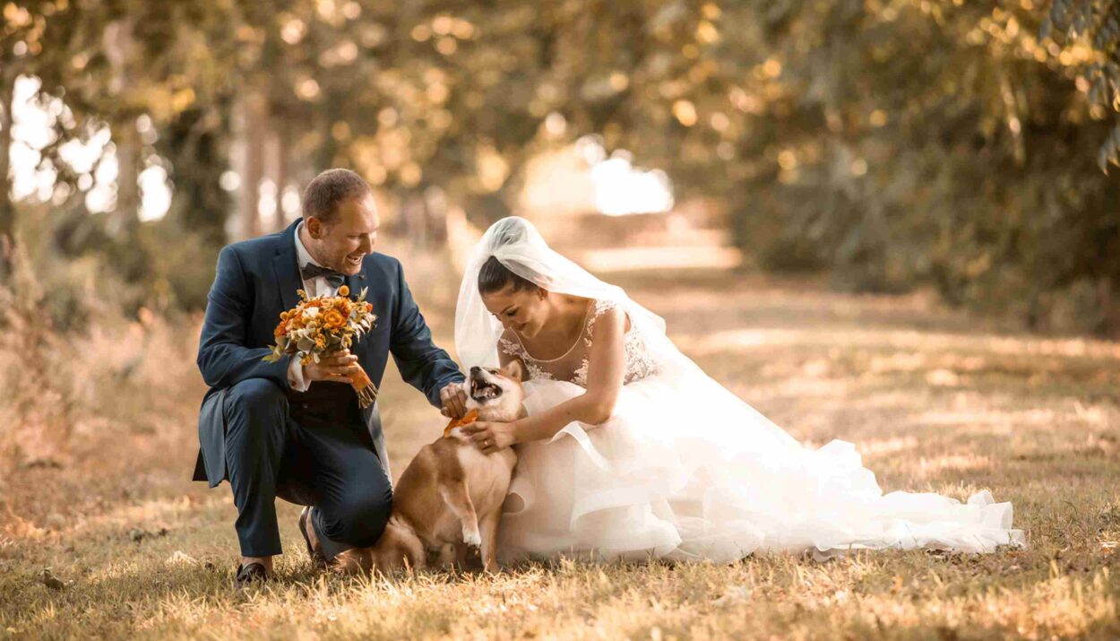 Scegli Villa Ormaneto per un matrimonio elegante vicino Verona, tra natura, storia e cucina stellata. Emozioni autentiche ti aspettano.