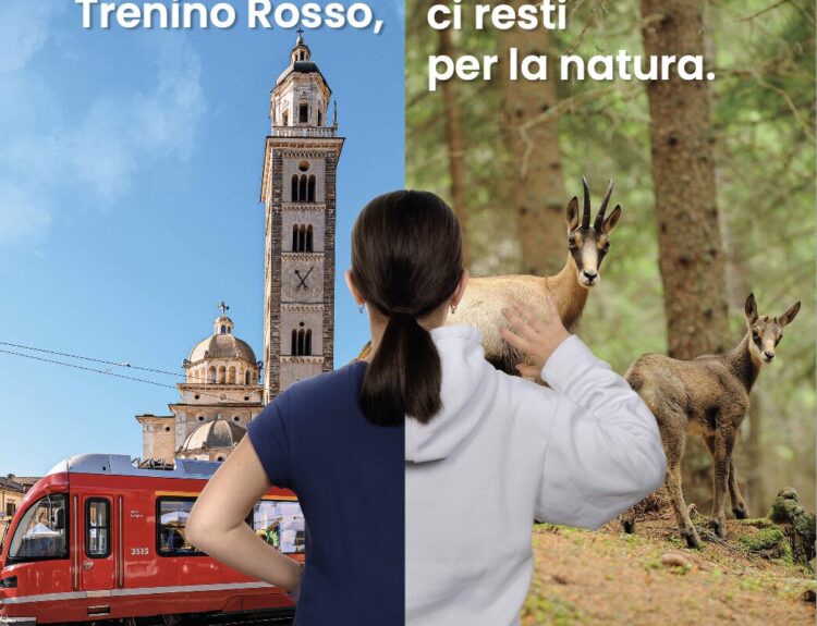 Tirano e Media Valtellina puntano su natura, cultura, sport ed enogastronomia per un turismo autentico e ricco di esperienze