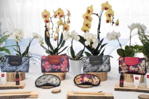 Scopri il Thai 65° anniversario amenity kit: design esclusivo, comfort e cultura thailandese per un viaggio indimenticabile.