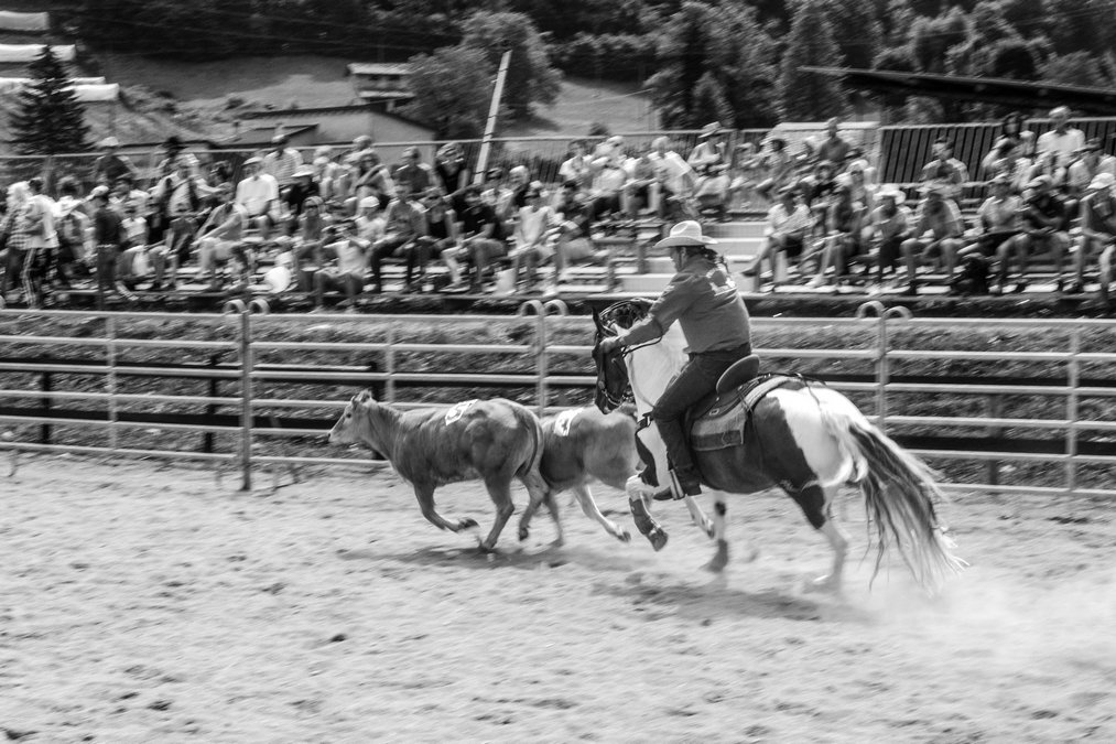 Dal 26 al 28 settembre a Barzio: musica, cavalli, sapori e danze country per un weekend gratuito tra natura e tradizione alpina.