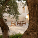Vivi la raccolta delle olive in Salento dal 16 al 19 ottobre. Natura, relax e tradizione a Il Giardino Grande: prenota ora il tuo soggiorno!