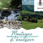 Yoga, showcooking, prevenzione e natura: dal 16 al 19 agosto vivi il benessere gratuito tra le montagne di Gallio!