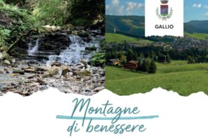 Yoga, showcooking, prevenzione e natura: dal 16 al 19 agosto vivi il benessere gratuito tra le montagne di Gallio!