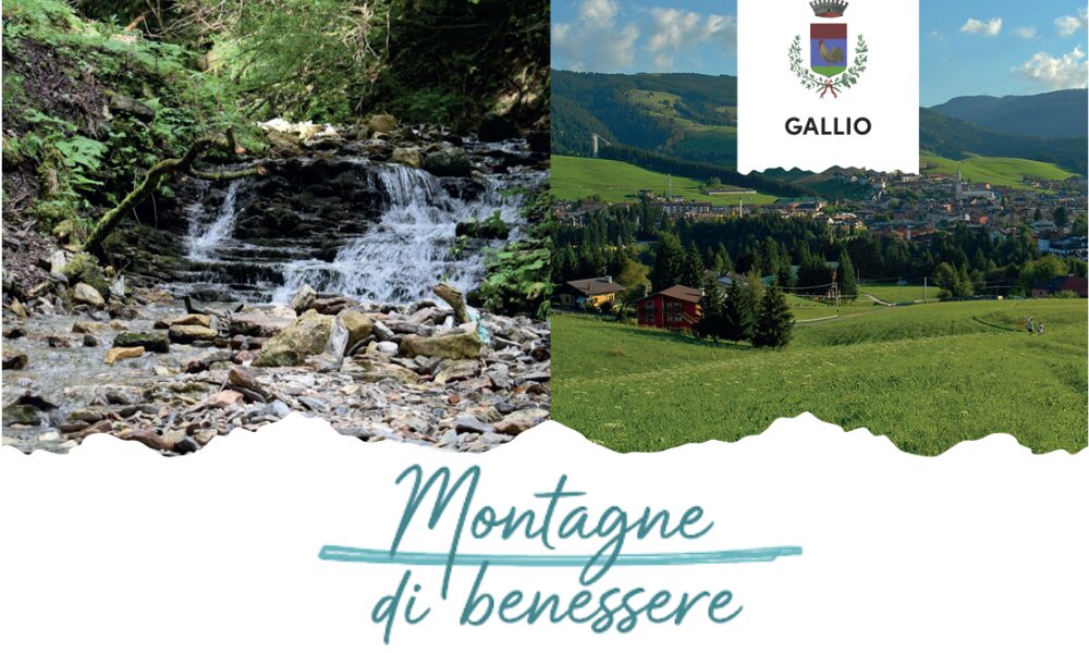Yoga, showcooking, prevenzione e natura: dal 16 al 19 agosto vivi il benessere gratuito tra le montagne di Gallio!