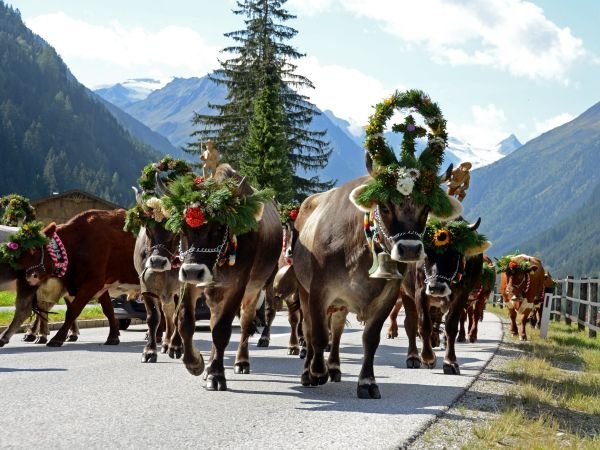 Stubai, dal 1° settembre al 2 novembre 2025. Un ricco calendario di eventi per assaggiare il sapore dell'autunno tirolese.